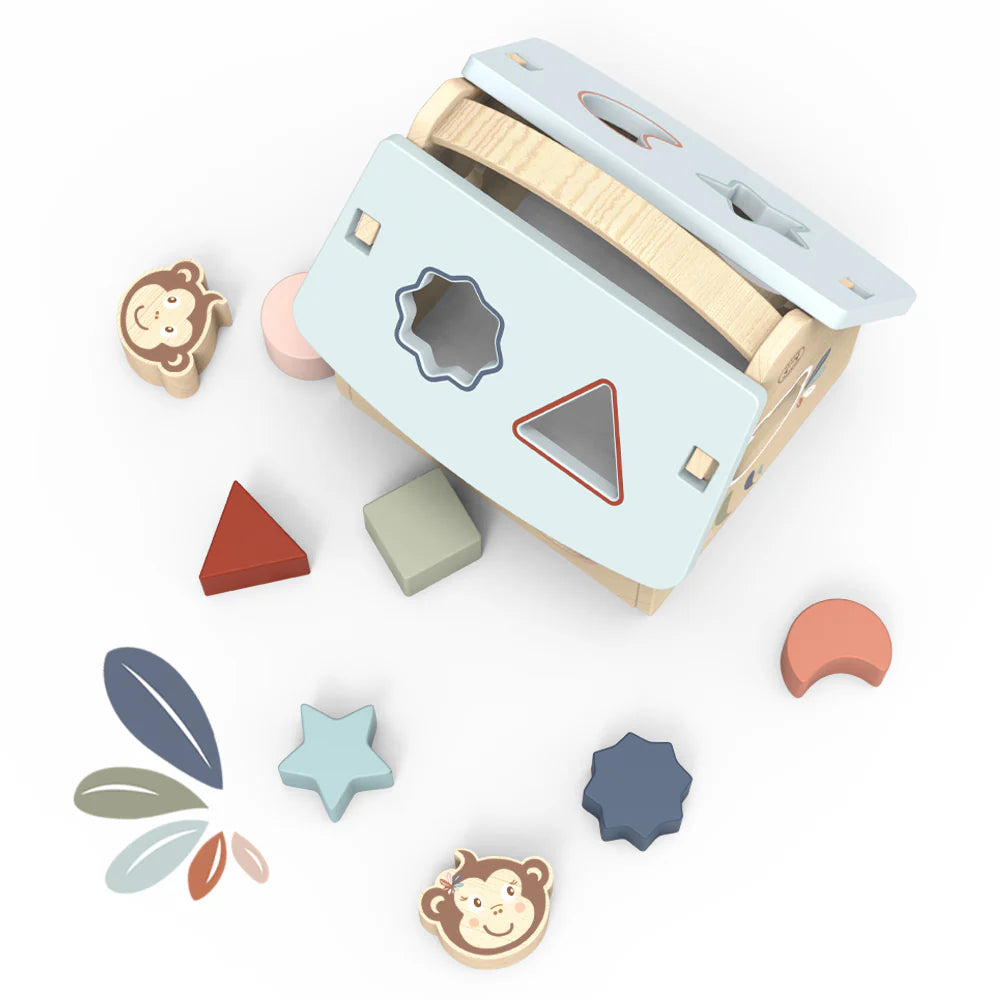 Speedy Monkey House Shape Sorter