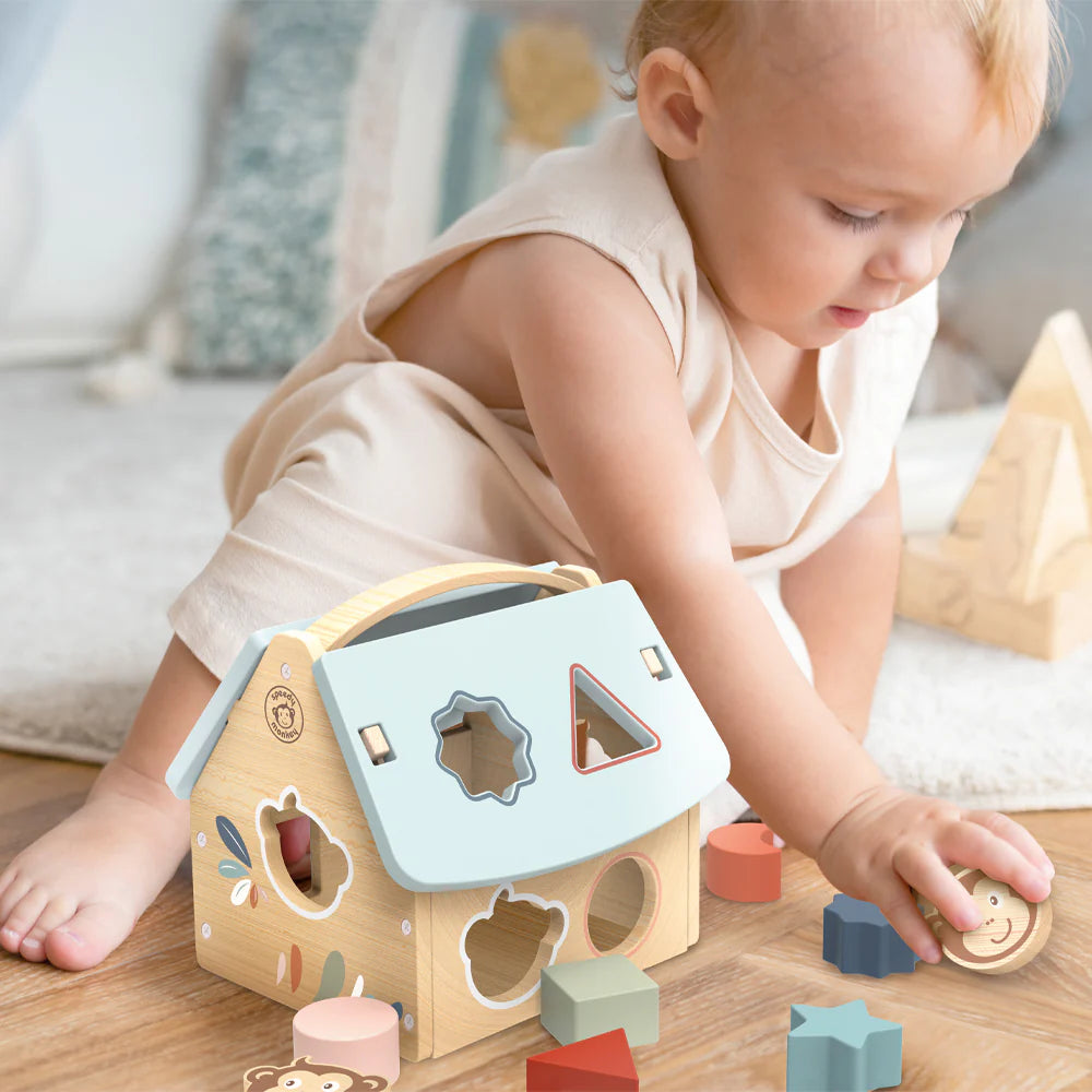 Speedy Monkey House Shape Sorter