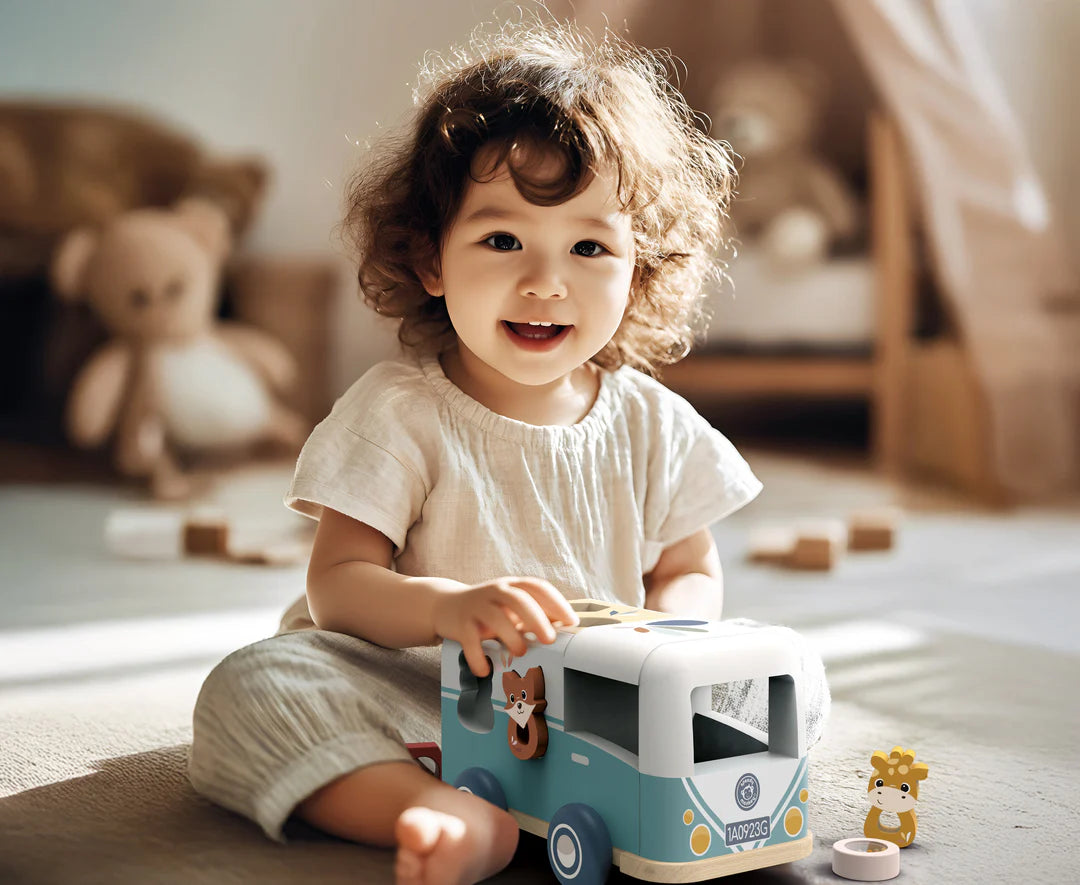 Speedy Monkey Van Shape Sorter