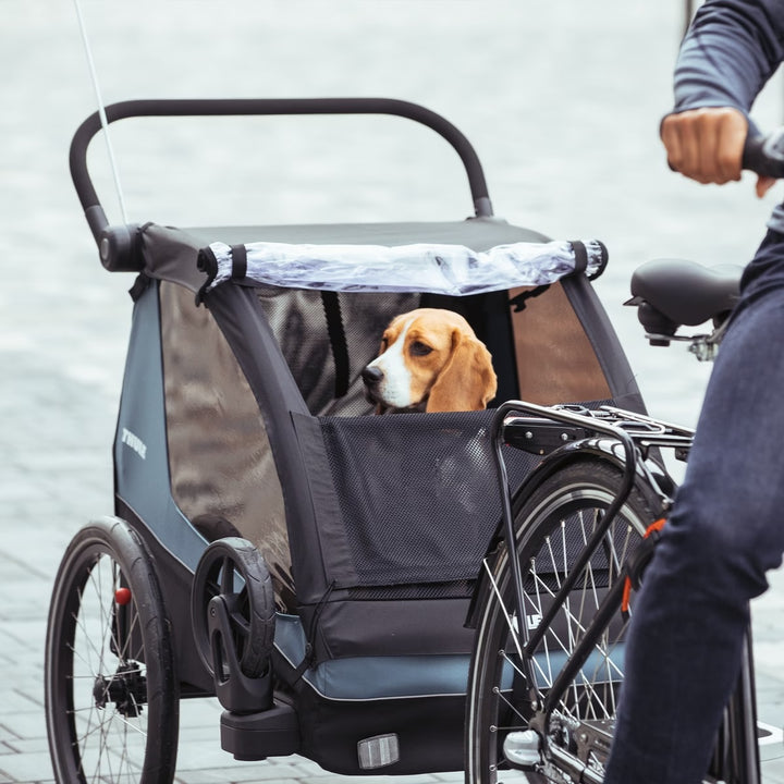 Thule Courier (Aegean Blue)