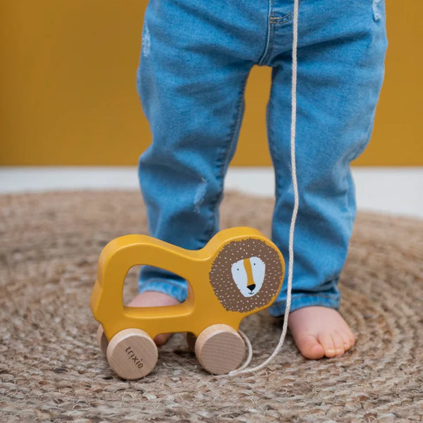 Trixie Wooden Pull Along Toy (Mr Lion)