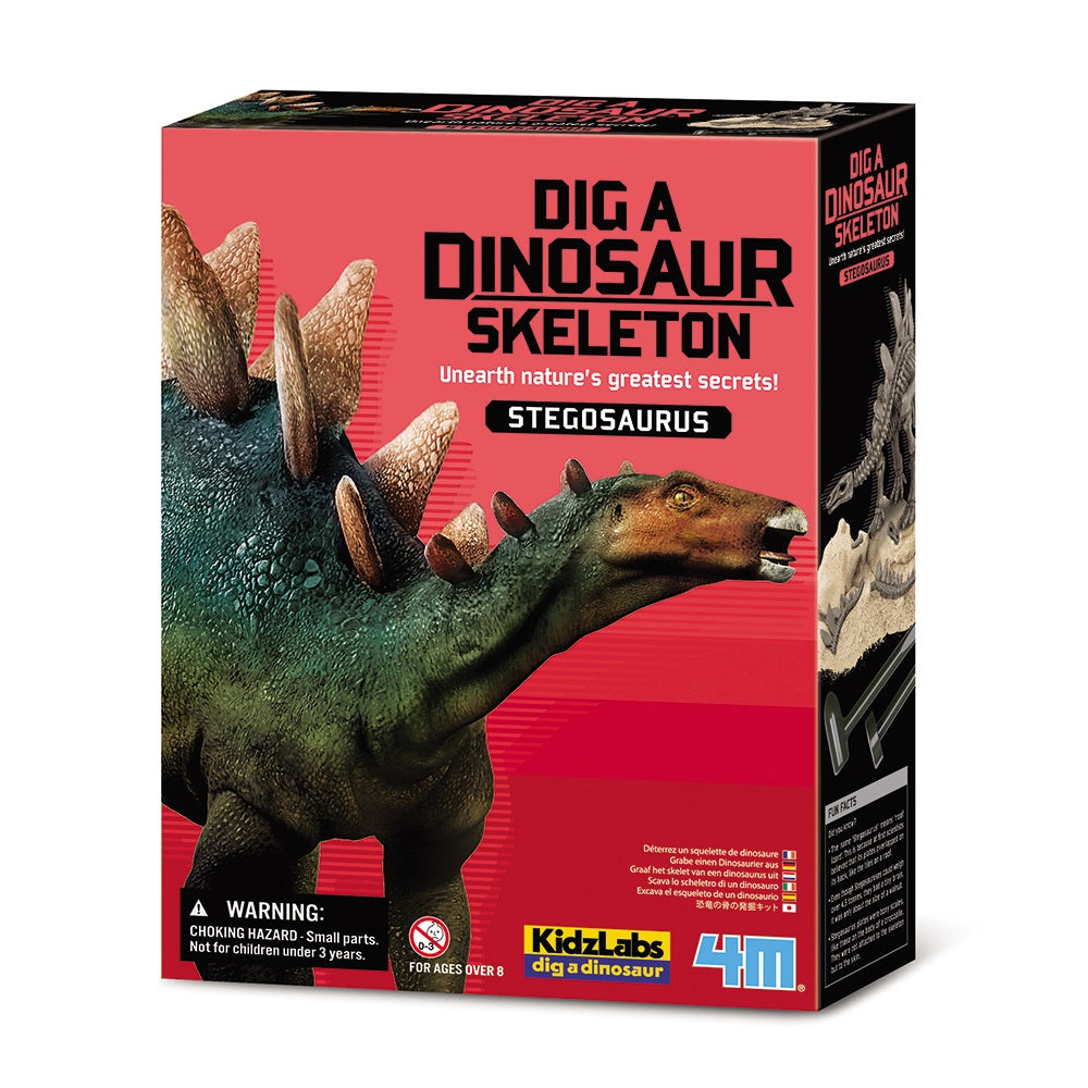 4M Dig A Dinosaur Skeleton (Stegosaurus)-Toys & Learning-4M-009698 SS-babyandme.ca