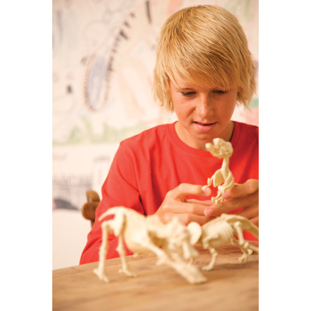 4M Dig A Dinosaur Skeleton (Tyrannosaurus Rex)-Toys & Learning-4M-009698 TR-babyandme.ca