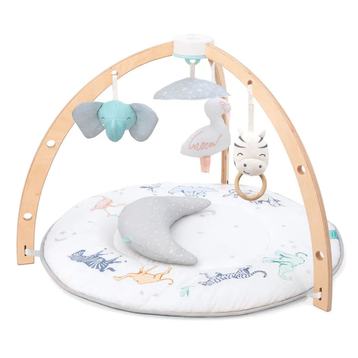 Aden + Anais Rising Star Baby Activity Gym-Aden + Anais-031930-babyandme.ca