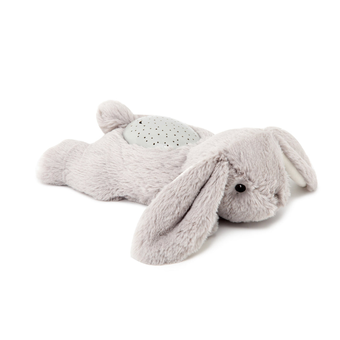 Cloud B Dream Buddies (Bennie the Bunny)-Toys & Learning-Cloud B-025580 BB-babyandme.ca