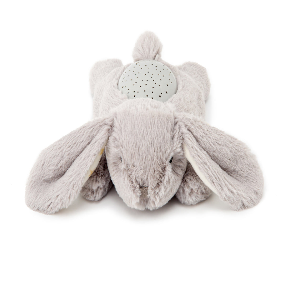 Cloud B Dream Buddies (Bennie the Bunny)-Toys & Learning-Cloud B-025580 BB-babyandme.ca