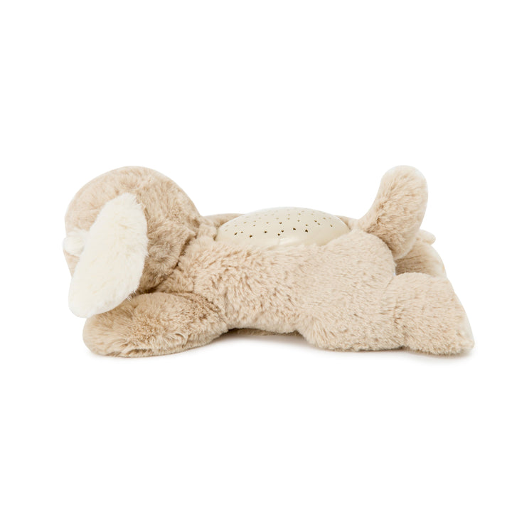 Cloud B Dream Buddies (Patch the Puppy)-Toys & Learning-Cloud B-025580 PP-babyandme.ca