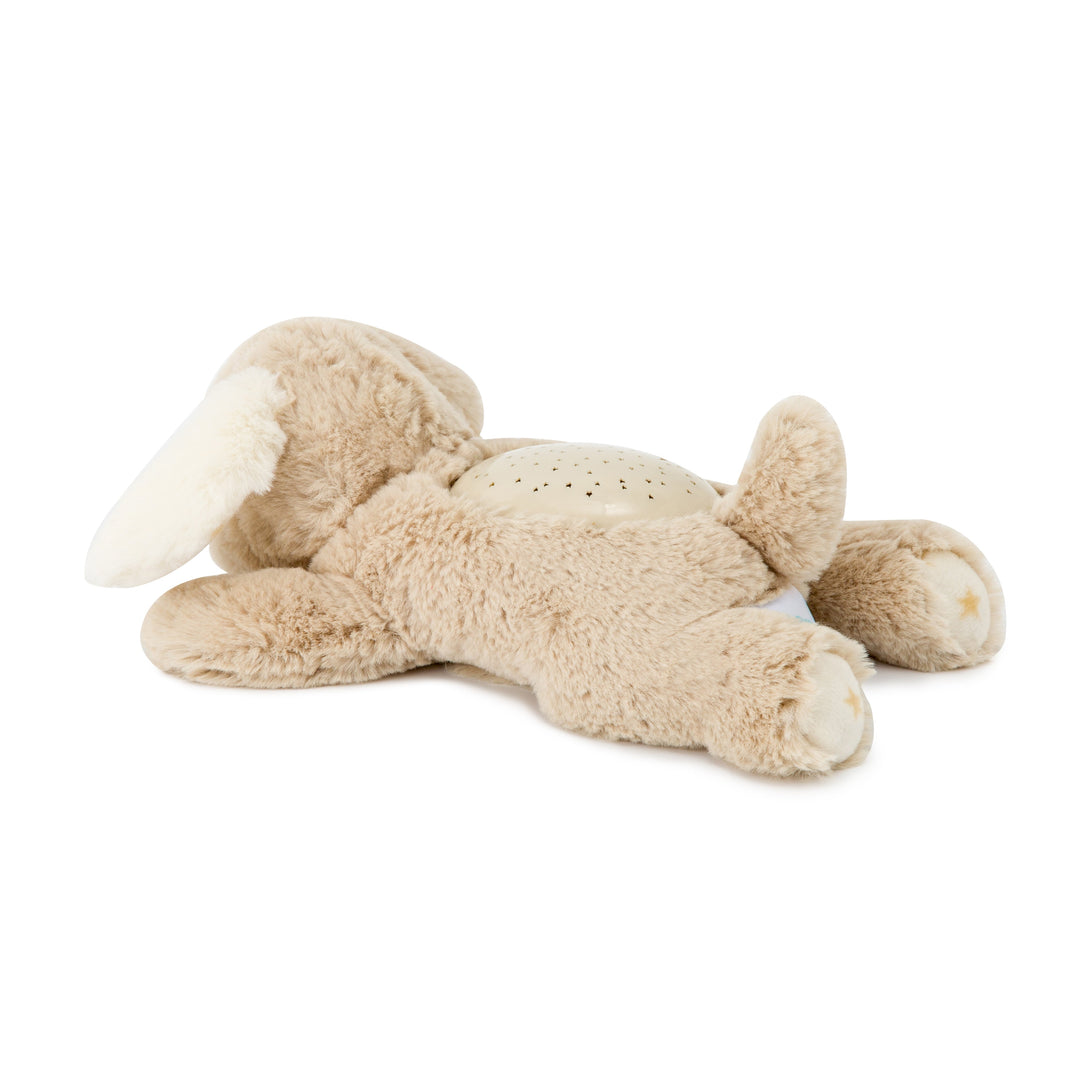 Cloud B Dream Buddies (Patch the Puppy)-Toys & Learning-Cloud B-025580 PP-babyandme.ca