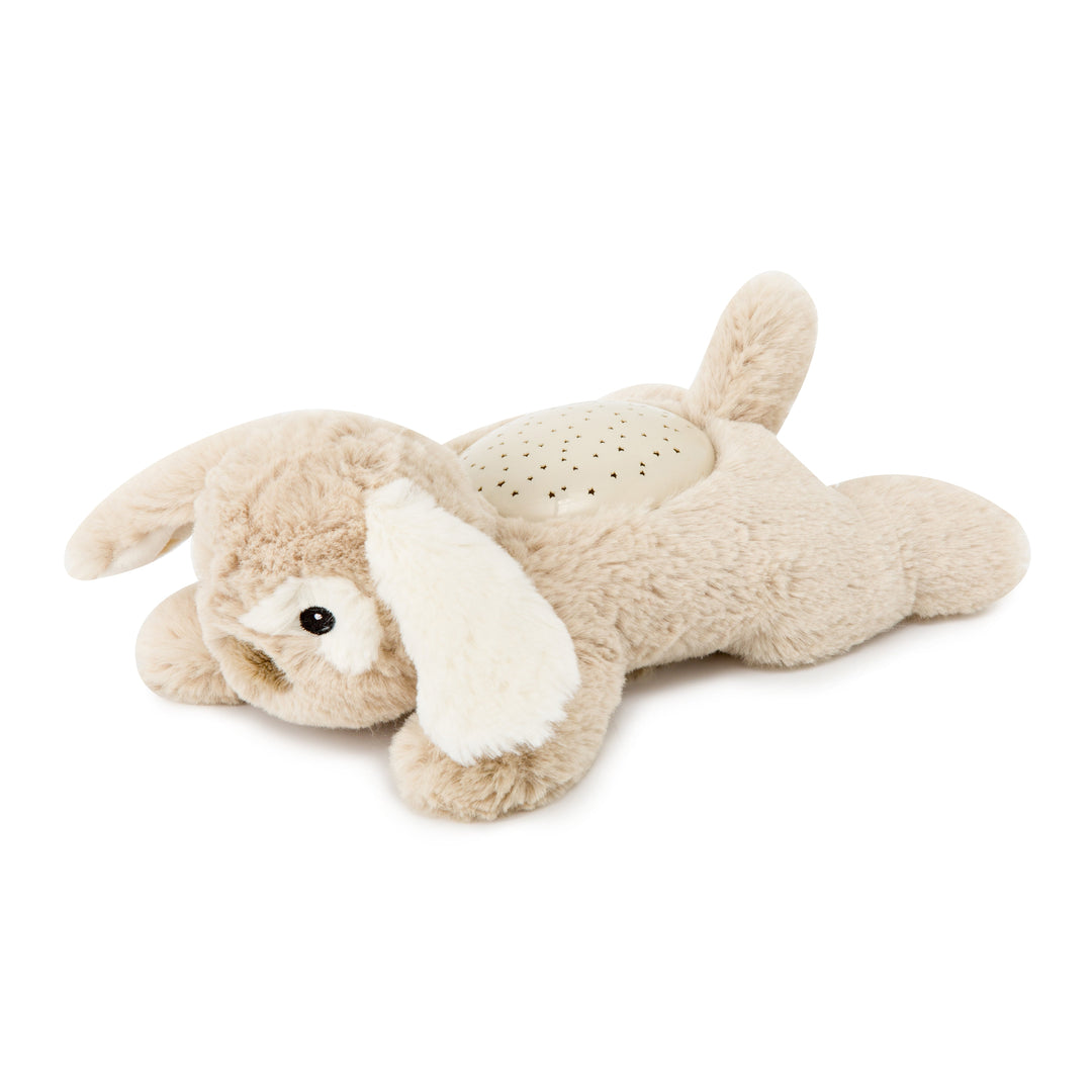 Cloud B Dream Buddies (Patch the Puppy)-Toys & Learning-Cloud B-025580 PP-babyandme.ca