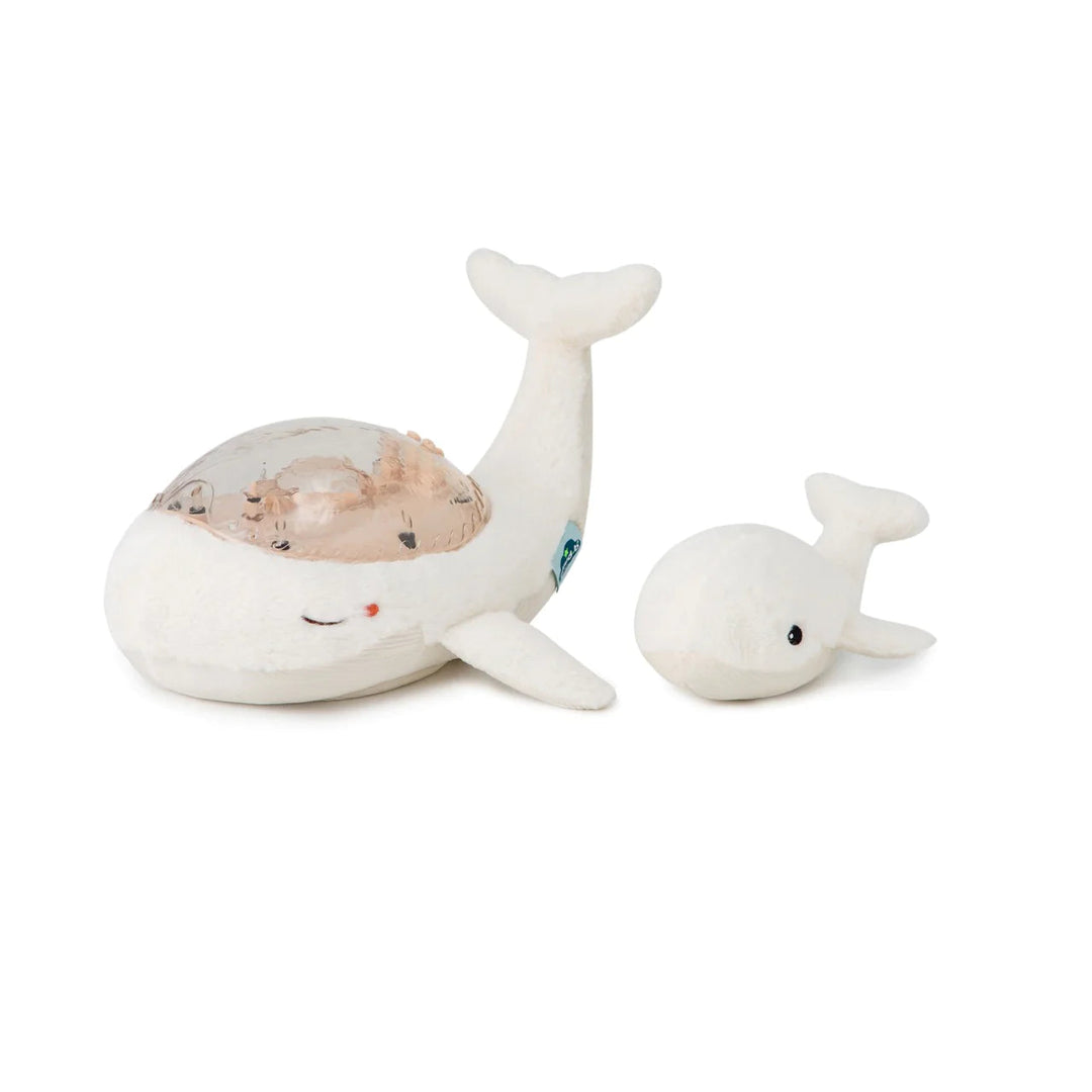 Cloud B Tranquil Whale Bundle (White)-Toys & Learning-Cloud B-031674 WH-babyandme.ca