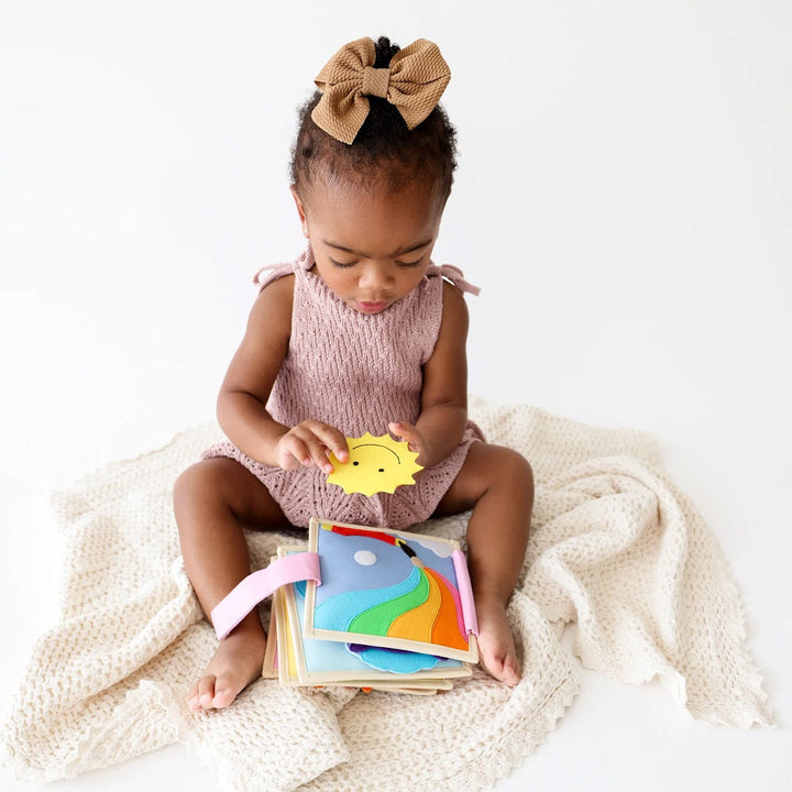 Educating Amy The Diaper Bag Companion (Rainbow)-Toys & Learning-Educating Amy-031222 RB-babyandme.ca