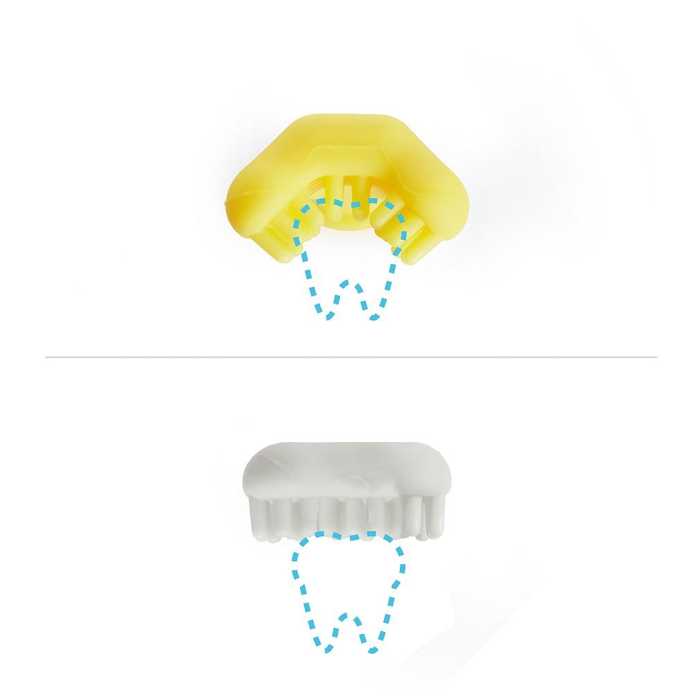 Fridababy SmileFrida Training Toothbrush for Babies-Bath-Fridababy-030087-babyandme.ca