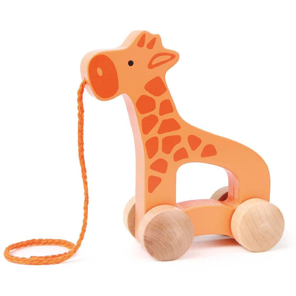 Hape Giraffe Push & Pull-Toys & Learning-Hape-009618 GF-babyandme.ca