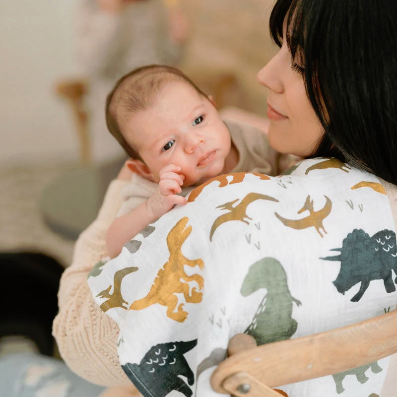 Little Unicorn Cotton Muslin Squares 4-Pack (Dino Friends)-Nursery-Little Unicorn-031767 DF-babyandme.ca