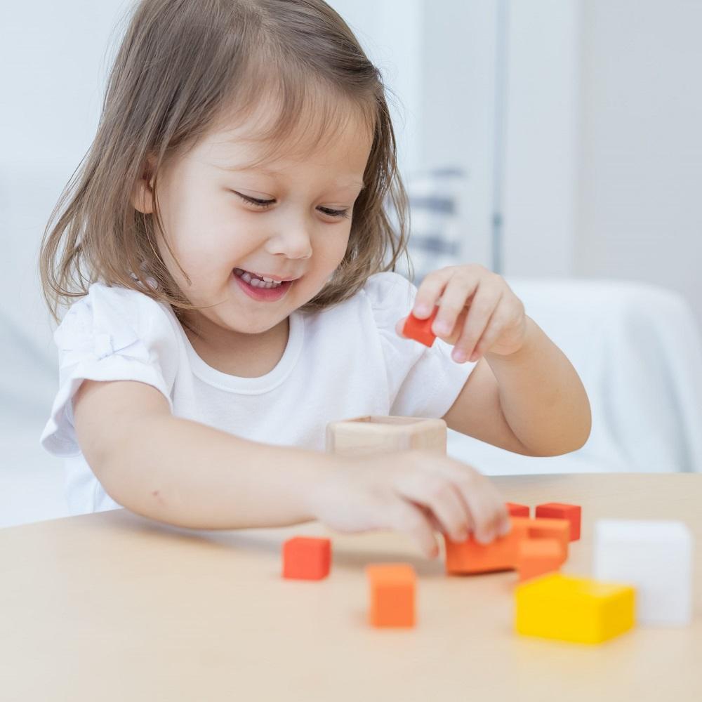 Plan Toys Fraction Cubes - FINAL SALE-Toys & Learning-Plan Toys-027739-babyandme.ca