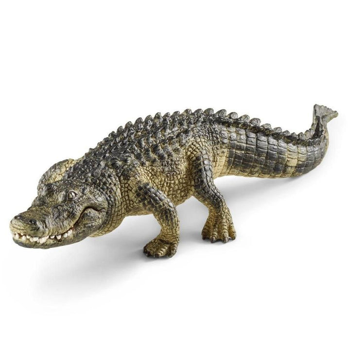 Schleich Alligator-Toys & Learning-Schleich-008164 AG-babyandme.ca
