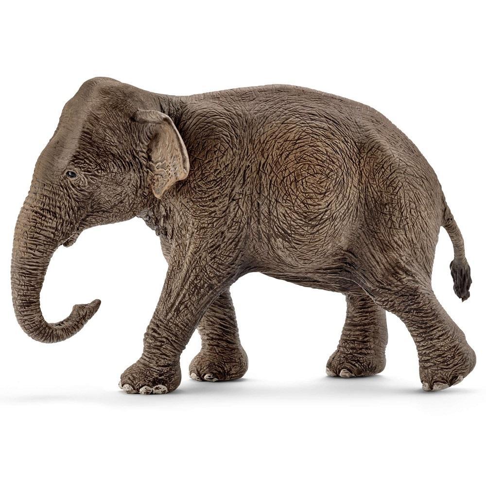 Schleich Asian Elephant, Female-Toys & Learning-Schleich-021193-babyandme.ca