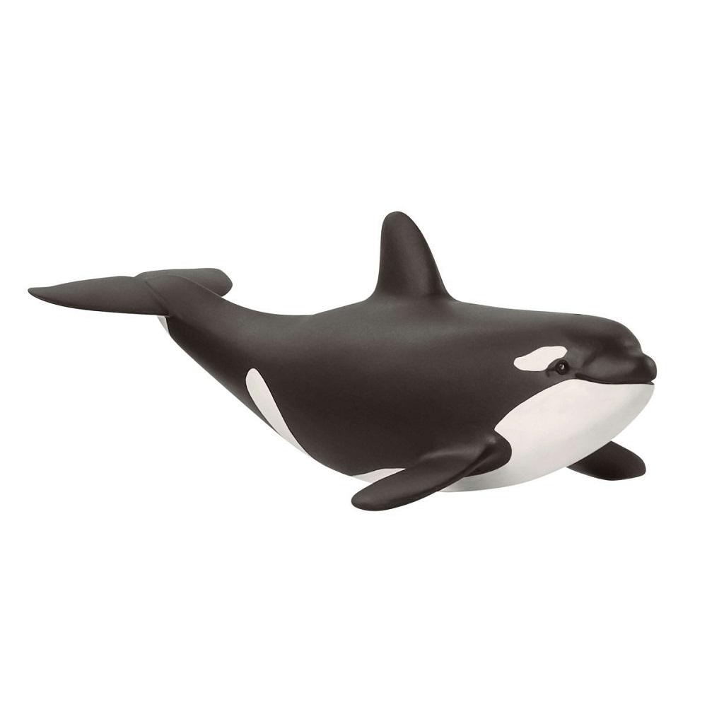 Schleich Baby Killer Whale-Toys & Learning-Schleich-027703 BO-babyandme.ca