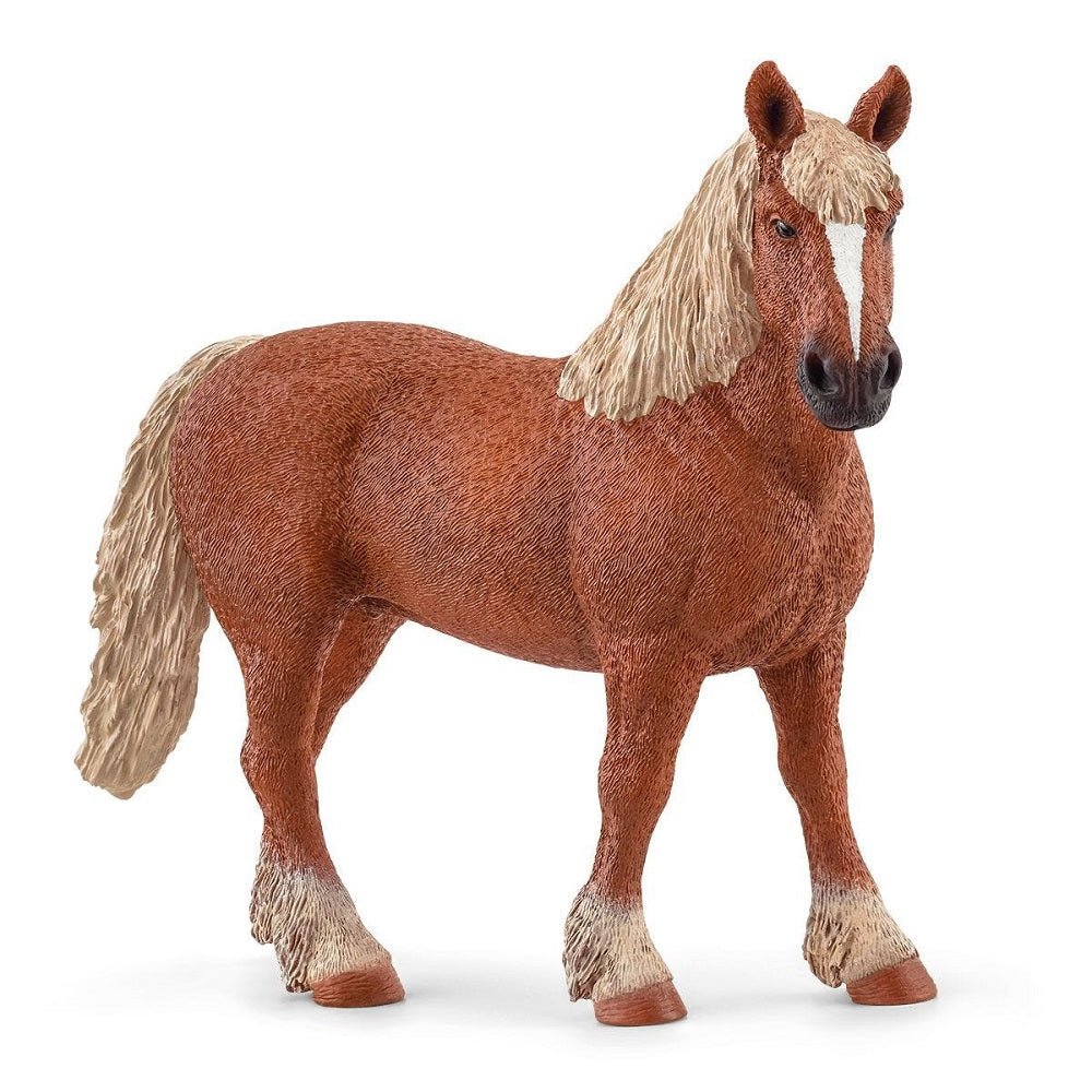 Schleich Belgian Draft Horse-Toys & Learning-Schleich-008164 BD-babyandme.ca