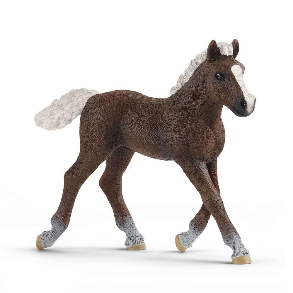 Schleich Black Forest Foal-Toys & Learning-Schleich-027703 FF-babyandme.ca