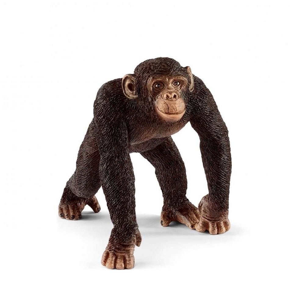 Schleich Chimpanzee Male-Toys & Learning-Schleich-008165 CM-babyandme.ca