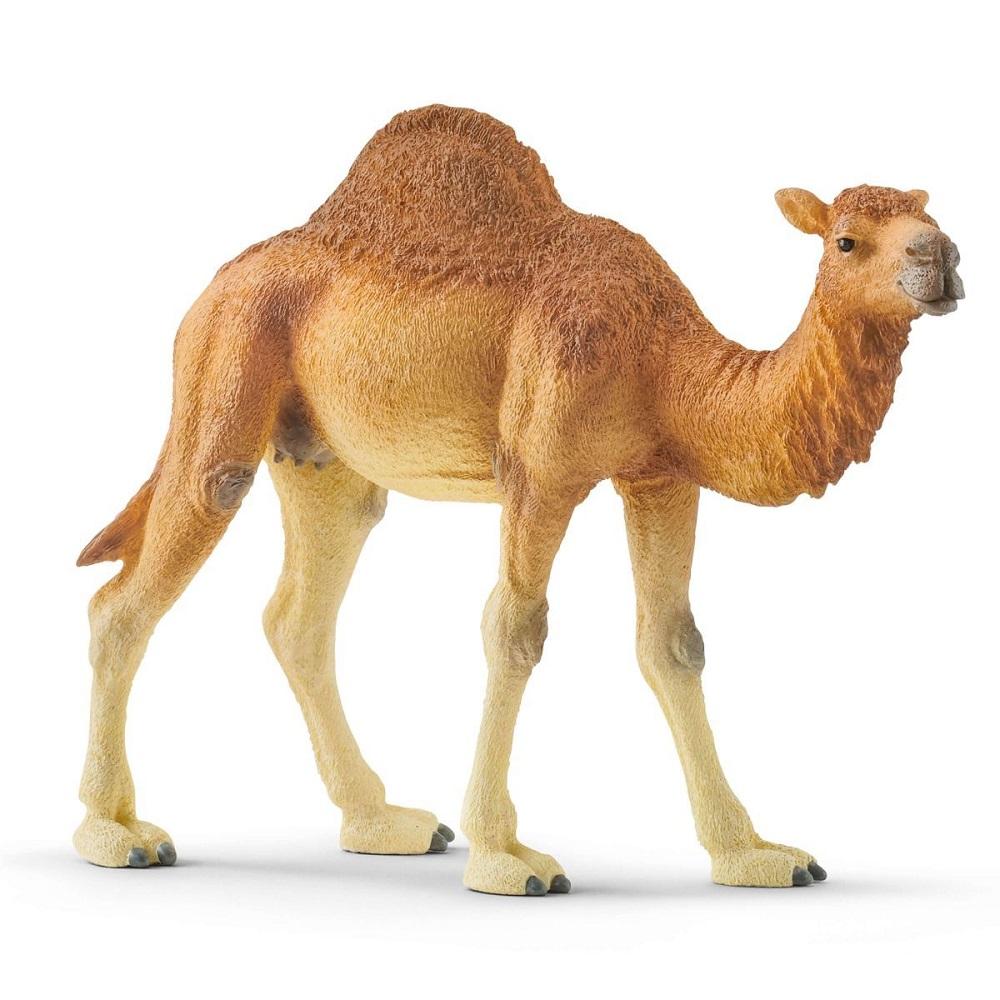 Schleich Dromedary-Toys & Learning-Schleich-027705 DM-babyandme.ca