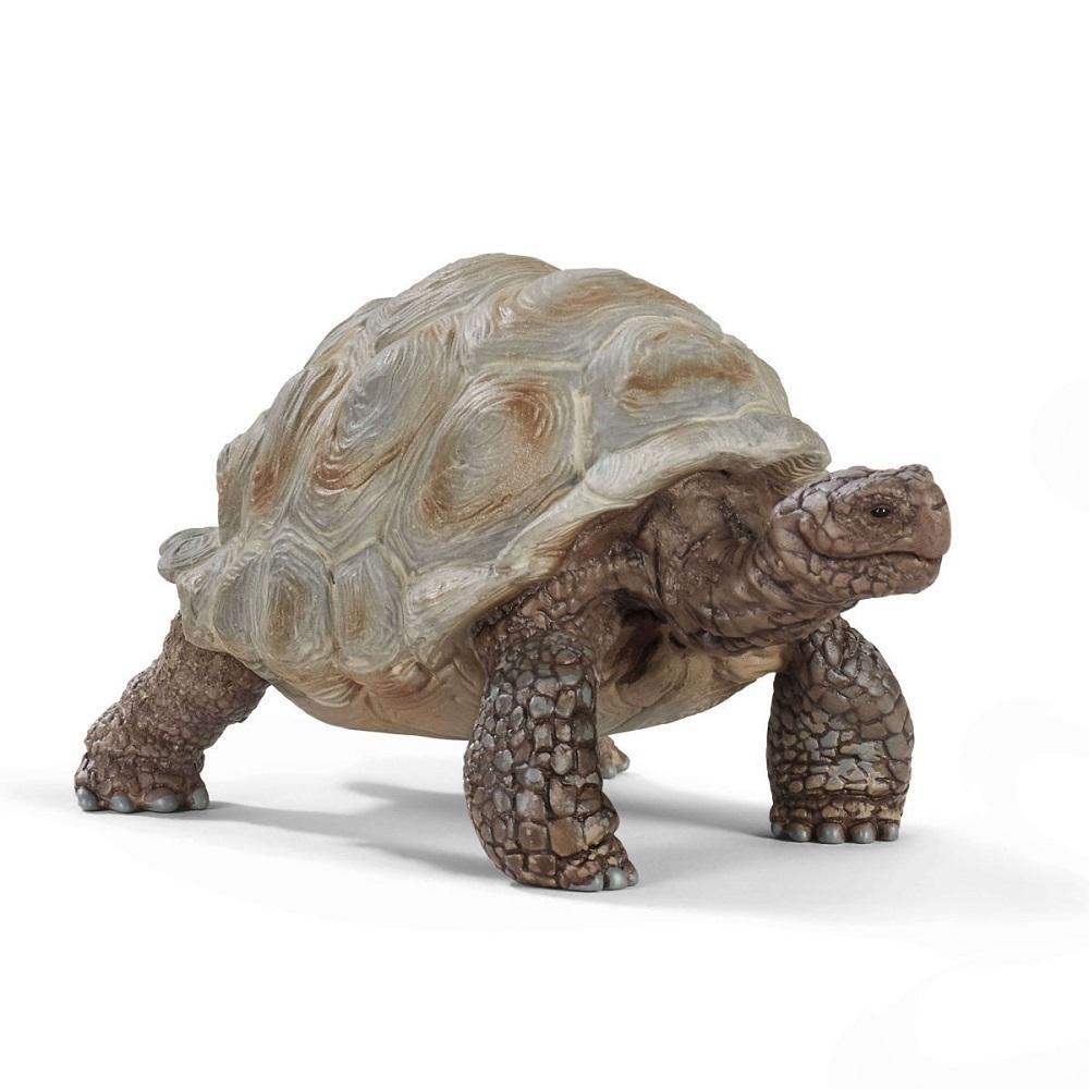 Schleich Giant Tortoise-Toys & Learning-Schleich-027703 GT-babyandme.ca