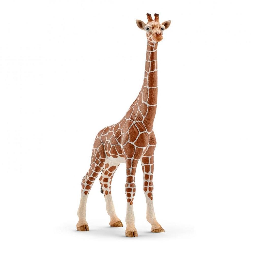 Schleich Giraffe Female-Toys & Learning-Schleich-008164 GE-babyandme.ca