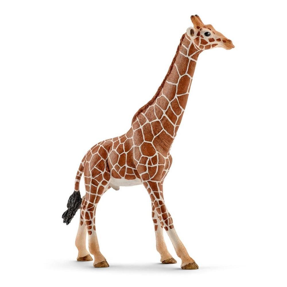 Schleich Giraffe Male-Toys & Learning-Schleich-008164 GM-babyandme.ca