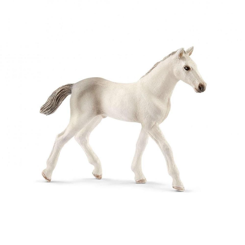 Schleich Holsteiner Foal-Toys & Learning-Schleich-021066 HL-babyandme.ca