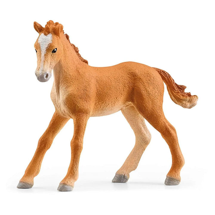 Schleich Lakeside Riding Center-Toys & Learning-Schleich-031336-babyandme.ca