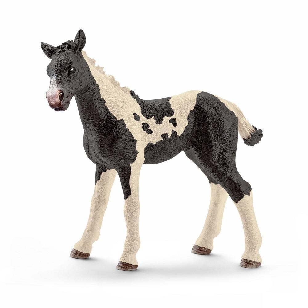 Schleich Pinto Foal-Toys & Learning-Schleich-021066 PN-babyandme.ca