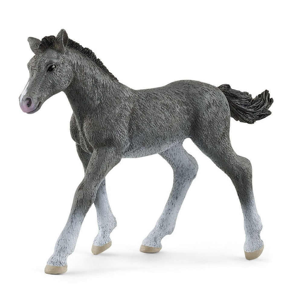 Schleich Trakehner Foal-Toys & Learning-Schleich-021066 TR-babyandme.ca