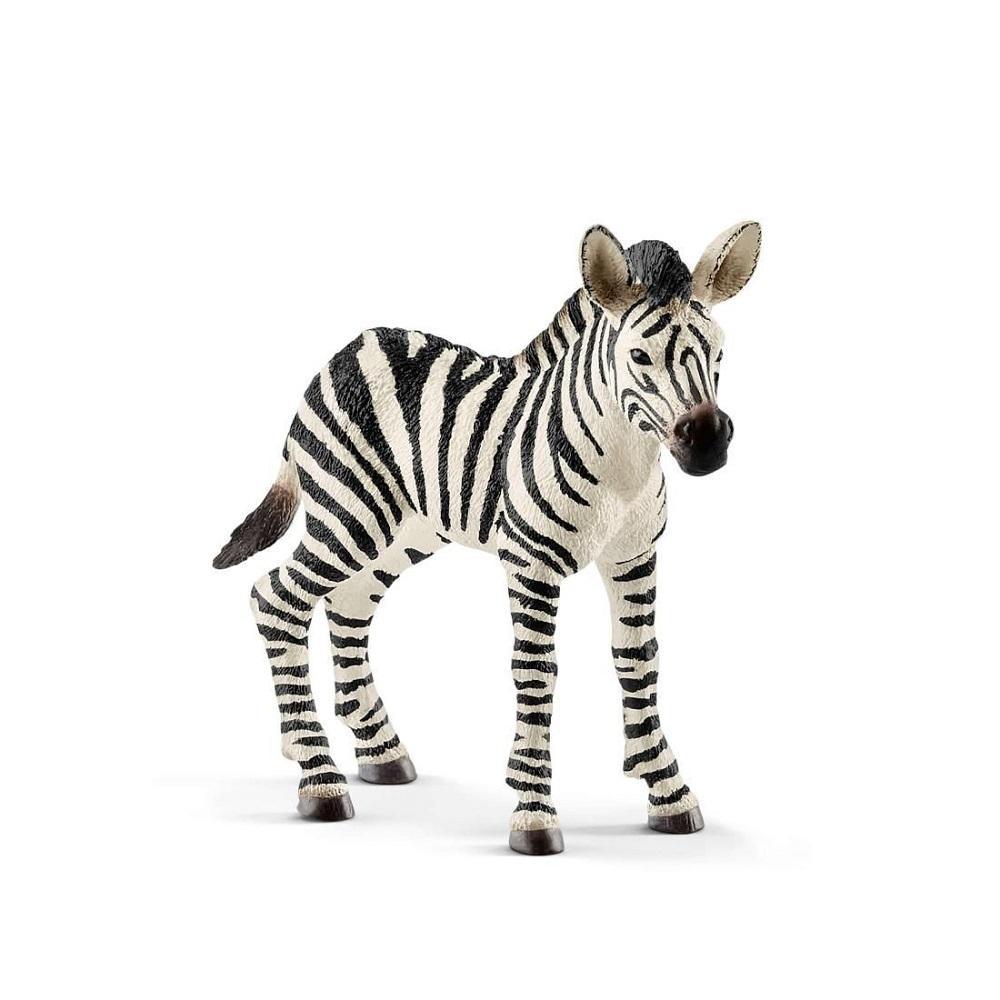 Schleich Zebra Foal-Toys & Learning-Schleich-021066 ZF-babyandme.ca