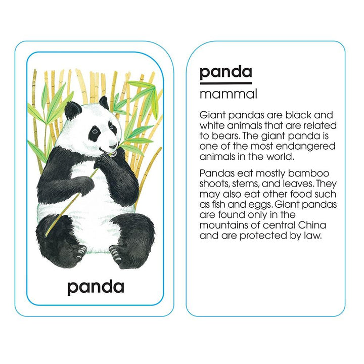 School Zone Flash Cards (Animals of All Kinds)-Toys & Learning-School Zone-030133 AM-babyandme.ca