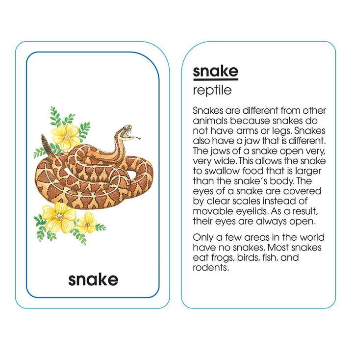 School Zone Flash Cards (Animals of All Kinds)-Toys & Learning-School Zone-030133 AM-babyandme.ca
