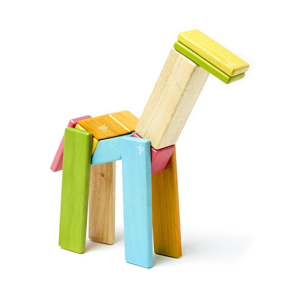 Tegu 14-Piece Set (Tints)-Toys & Learning-Tegu-008351 T-babyandme.ca