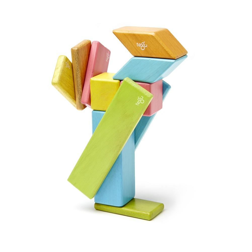 Tegu 14-Piece Set (Tints)-Toys & Learning-Tegu-008351 T-babyandme.ca