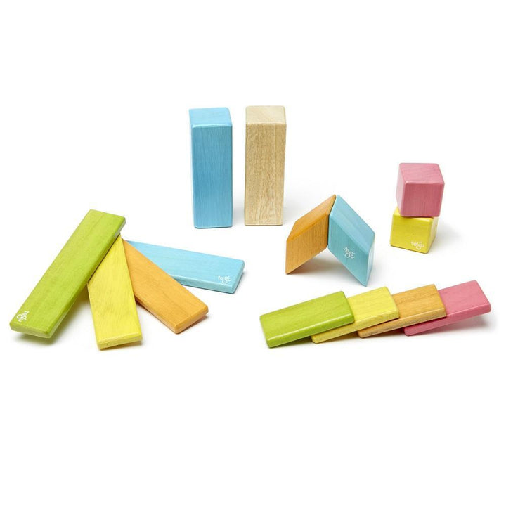 Tegu 14-Piece Set (Tints)-Toys & Learning-Tegu-008351 T-babyandme.ca