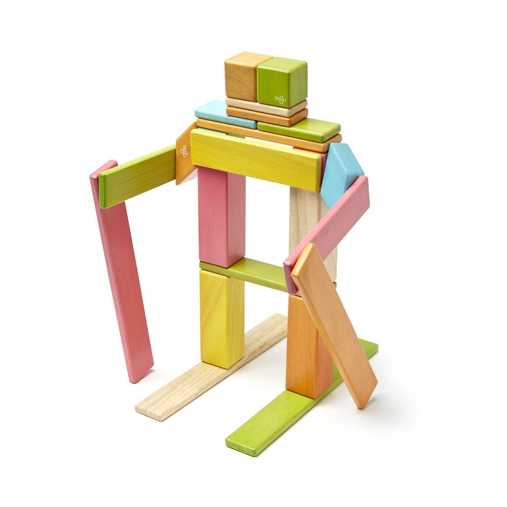 Tegu 24-Piece Set (Tints)-Toys & Learning-Tegu-008840 T-babyandme.ca