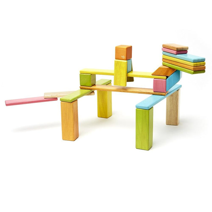 Tegu 24-Piece Set (Tints)-Toys & Learning-Tegu-008840 T-babyandme.ca
