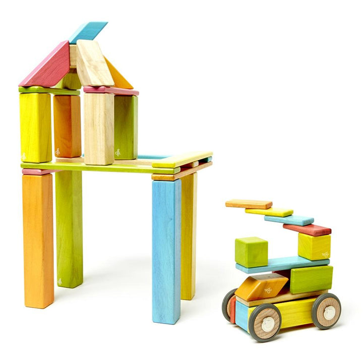 Tegu 42-Piece Set (Tints)-Toys & Learning-Tegu-008841 T-babyandme.ca