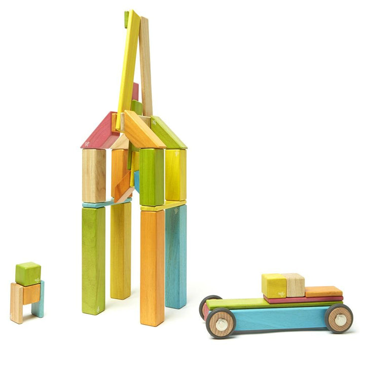 Tegu 42-Piece Set (Tints)-Toys & Learning-Tegu-008841 T-babyandme.ca