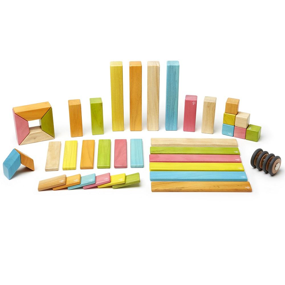 Tegu 42-Piece Set (Tints)-Toys & Learning-Tegu-008841 T-babyandme.ca