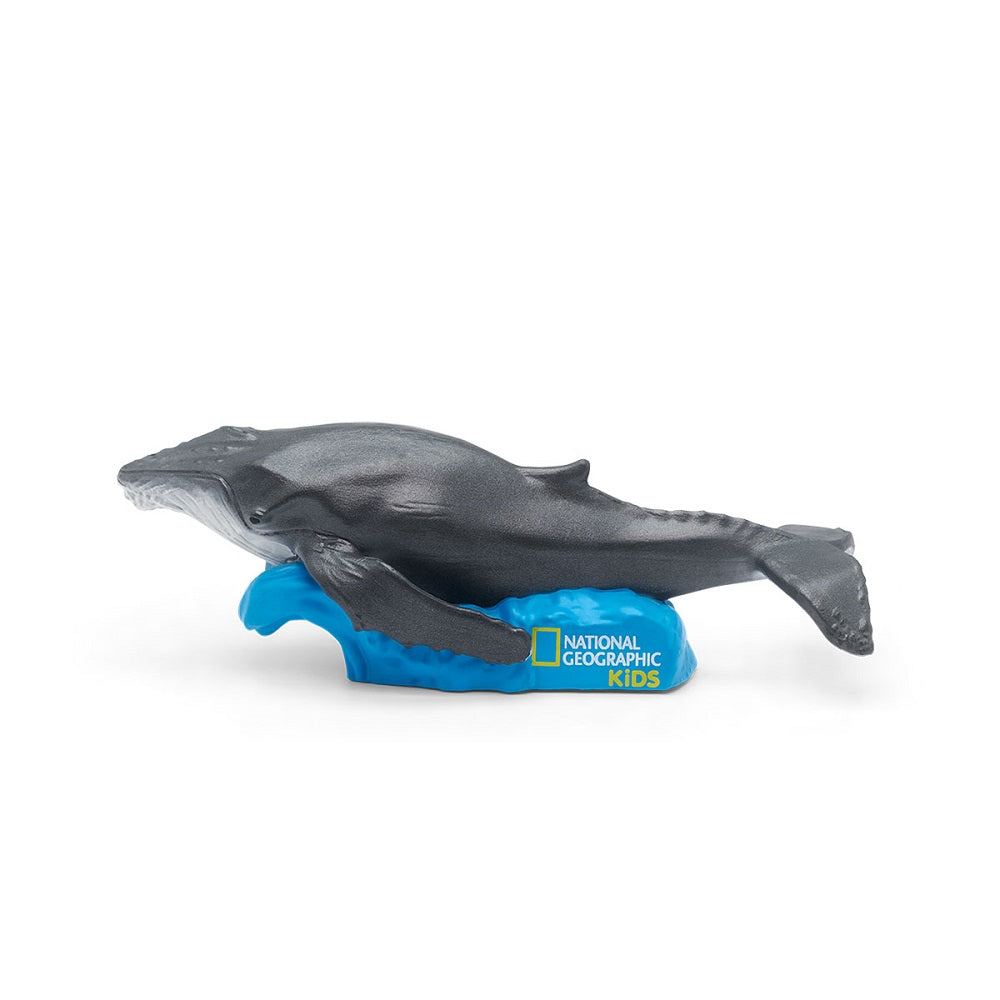 Tonies National Geographic Kids: Whale-Toys & Learning-Tonies-031052 NGW-babyandme.ca