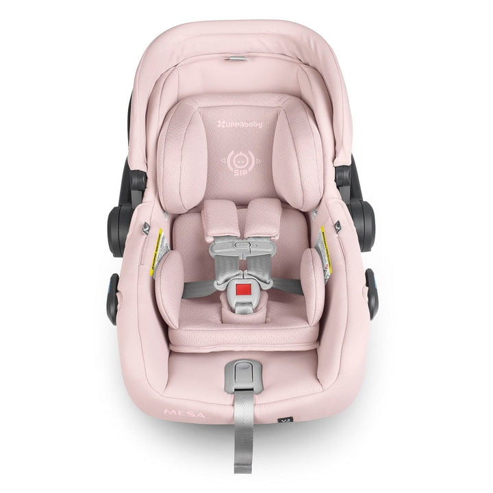 UPPAbaby Mesa V2 (Alice - Dusty Pink)-Gear-UPPAbaby-031364 AL-babyandme.ca