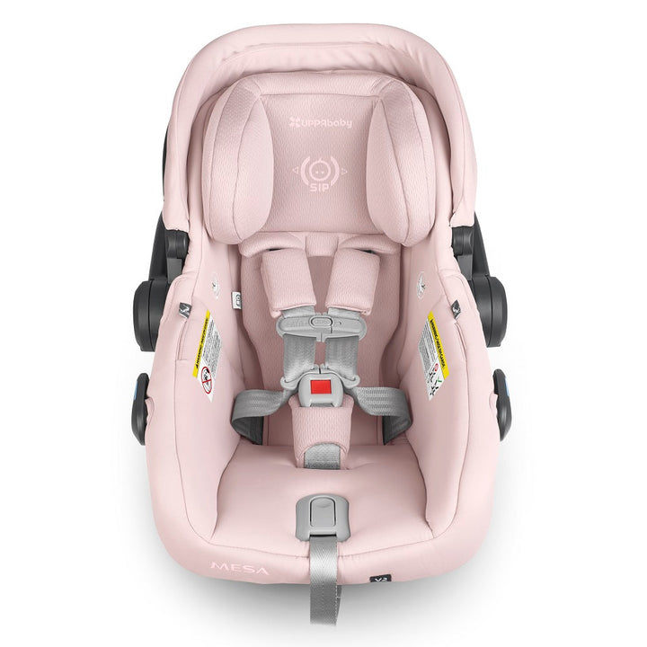 UPPAbaby Mesa V2 (Alice - Dusty Pink)-Gear-UPPAbaby-031364 AL-babyandme.ca