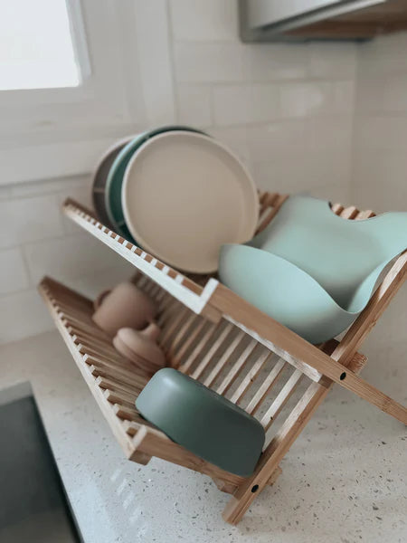 noüka Bowl (Fern)-Feeding-noüka-031724 FN-babyandme.ca